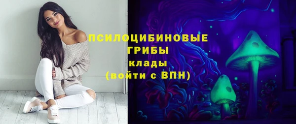 прущий лед Горняк