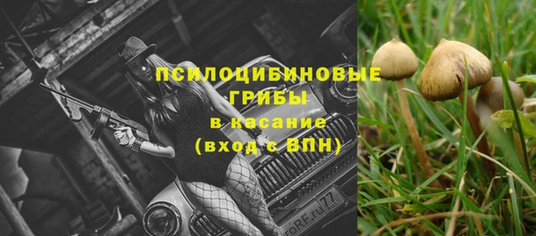 прущий лед Горняк