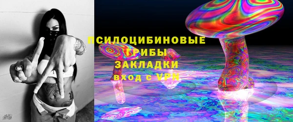прущий лед Горняк