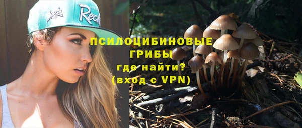 прущий лед Горняк