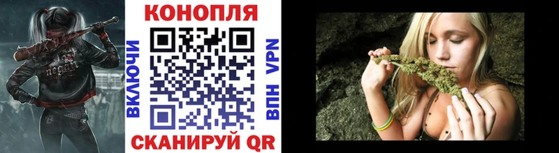 Канабис ГИДРОПОН  Купить где  Кедровый 